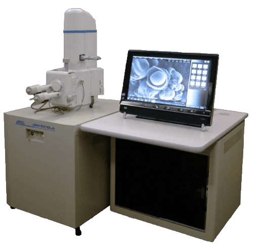 scanning_elektronmikroskop