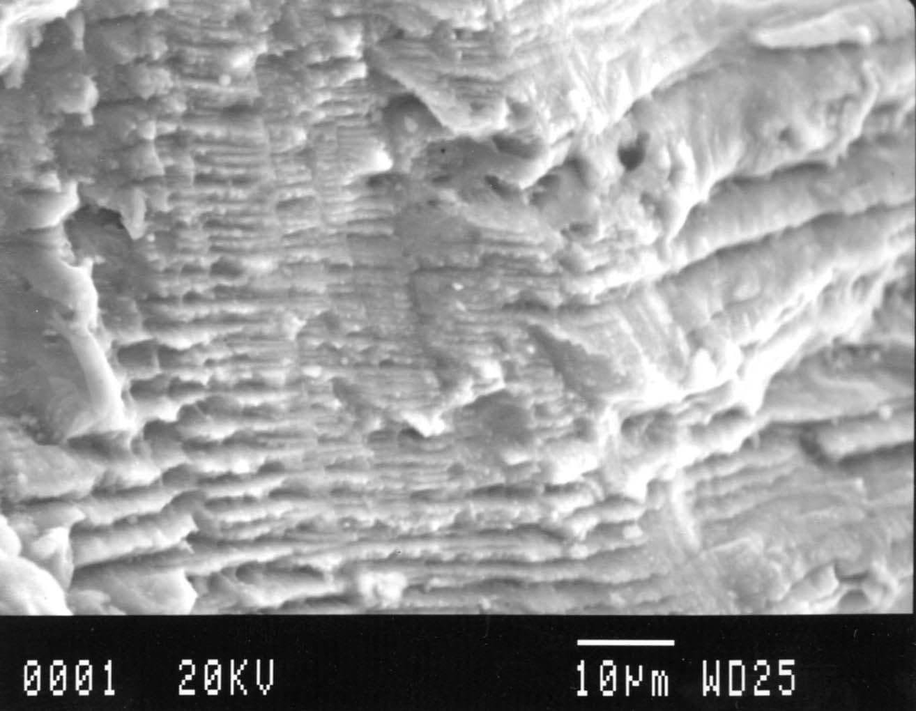 Fraktografi utmatting