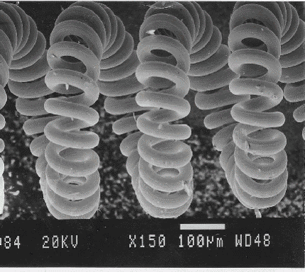 Topobilde av glødetråd