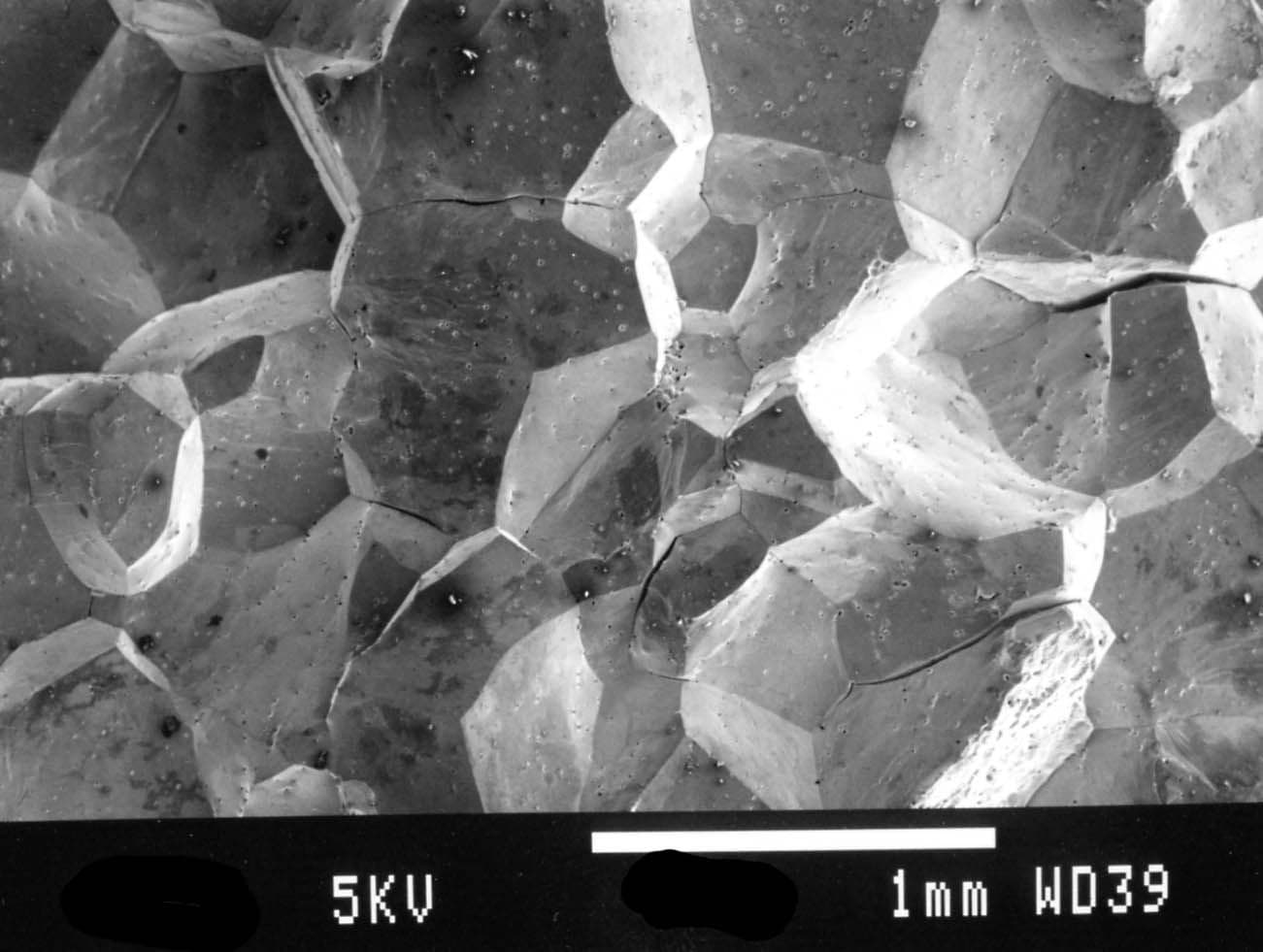 Fraktografi sprøbrudd